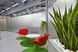 Стеклянные офисные перегородки под заказ office 2 фото 2